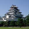 Tsuruga Castle.