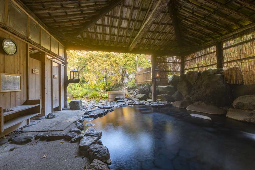 Aoni Inn mixed-sex bath.