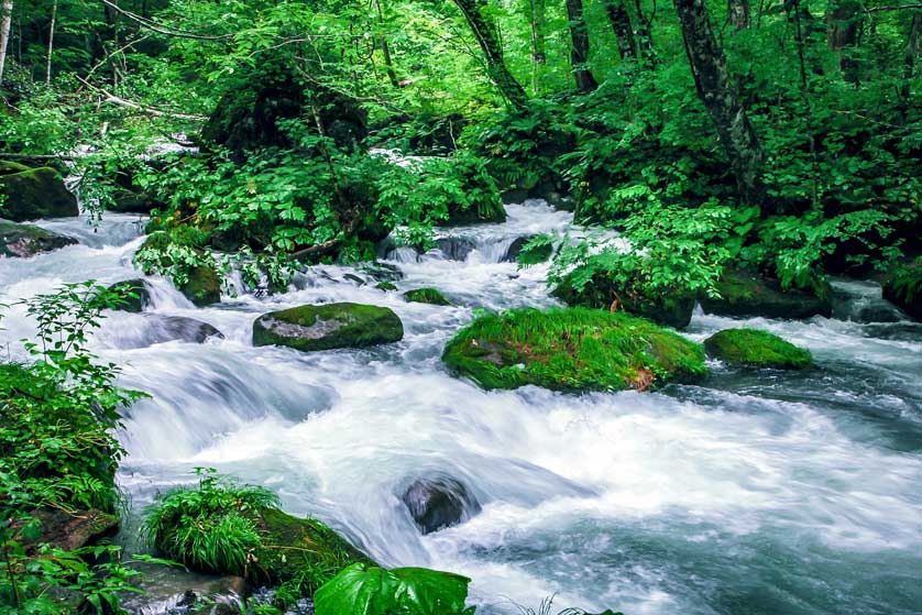 Oirase Gorge, Aomori.