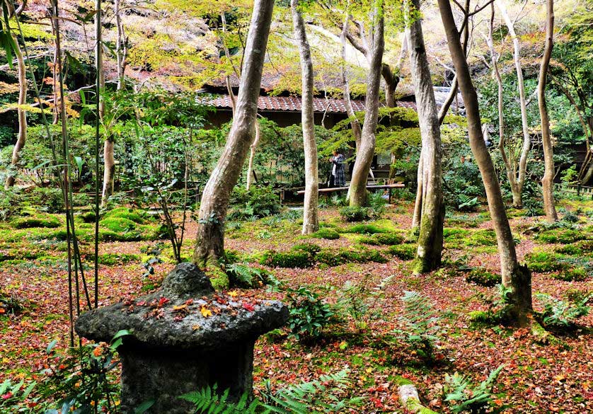 Gioji Temple, Arashiyama, Kyoto.