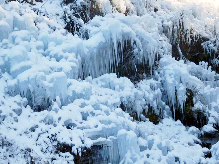 Ashigakubo Icicles covered with snow, Chichibu, Saitama, Japan.