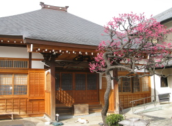 Chosenji Temple, Koenji, Tokyo.