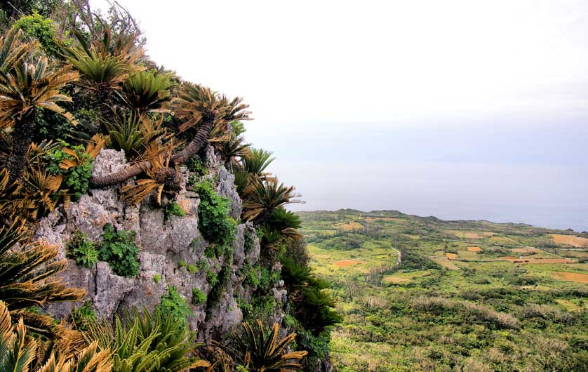 Daisekirinzan, Okinawa, Japan.