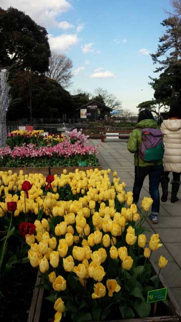 ESamuel Cocking Garden, Enoshima.