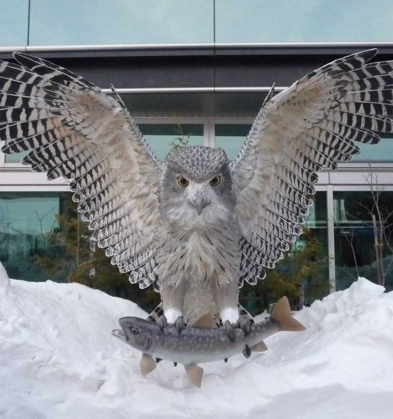 Blakiston's Fish Owl.