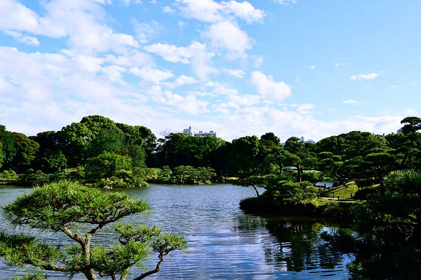 Tokyo - Kiyosumi Teien Garden.