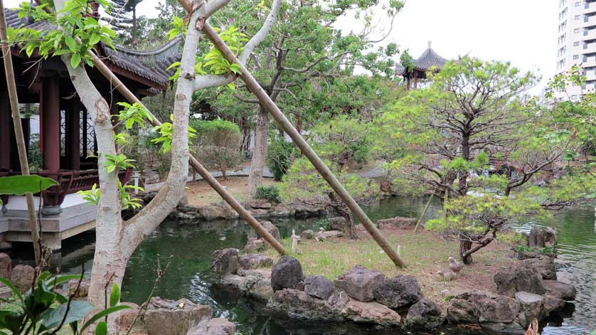 The central pond at Fukushu-en, Naha.