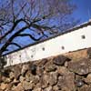 Funai Castle, Oita.