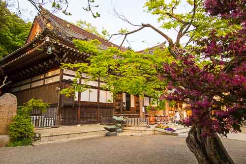 Jindaiji, Chofu, Tokyo.