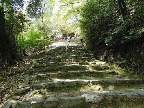 Jingoji Temple, Kyoto, Japan, Japan.