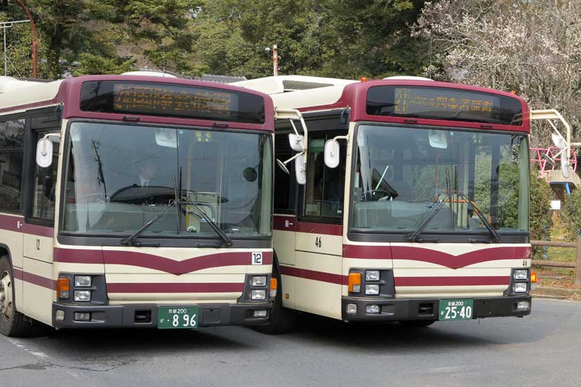 Buses, Jissoin Temple, Iwakura, Kyoto.