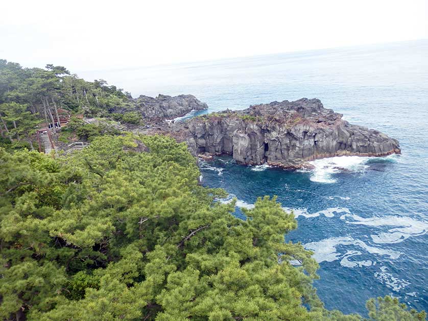 Jogasaki Coast, Izu Peninsula, Shizuoka Prefecture.