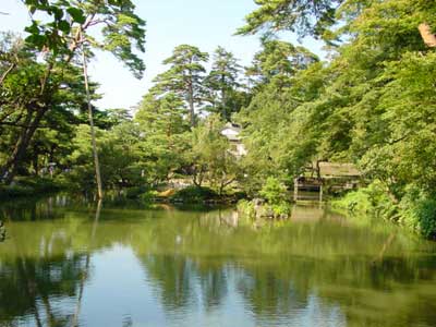 Lake in high, hot summer.