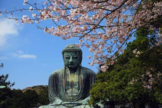 Kotoku-in Temple, Kamakura.