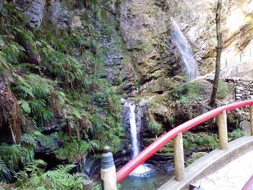 Medaki (left) and Odaki Falls, Ogose Town, Saitama Prefecture.