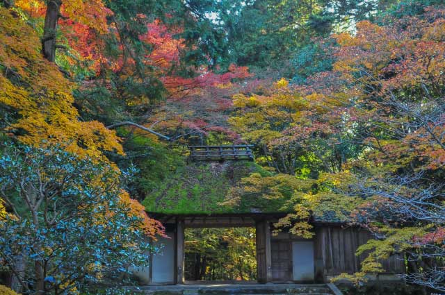 Honen-in Temple, Kyoto.