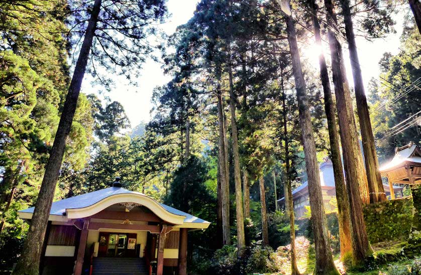 Sanbutsuji Temple, Mount Mitoku, Tottori.