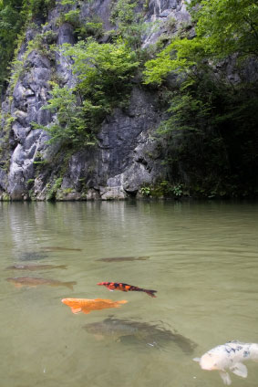 Geibikei Gorge, Iwate prefecture, Japan.