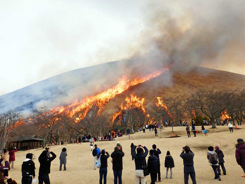 Mount Omuro, Izu.