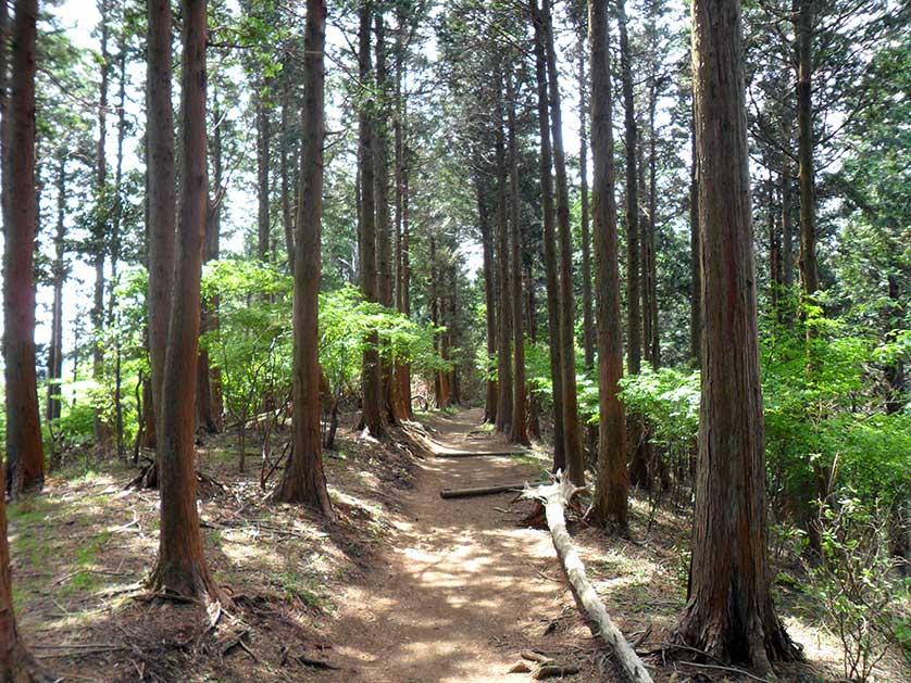 Mt. Oyama, Kanagawa Prefecture, Japan.