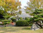 Nagoya Agricultural Center, Hirabari.