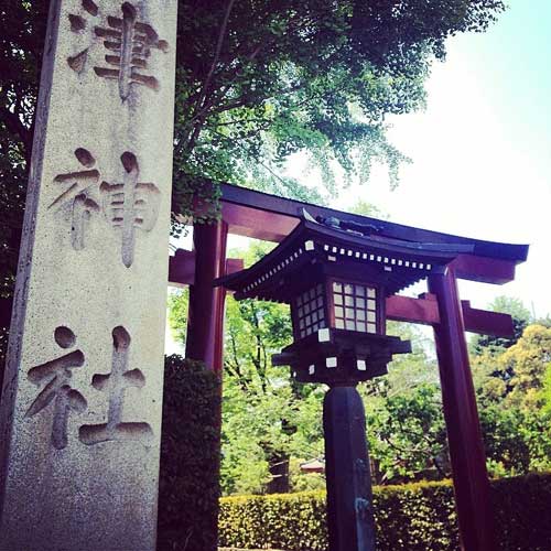 Nezu Shrine, Tokyo.