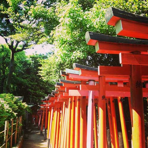 Nezu Shrine, Tokyo.