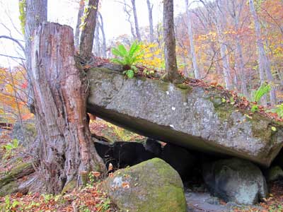 Fudo Rock, Oirase.