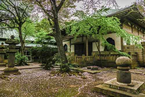 Serene Saishoji Temple, near Sangenjaya.