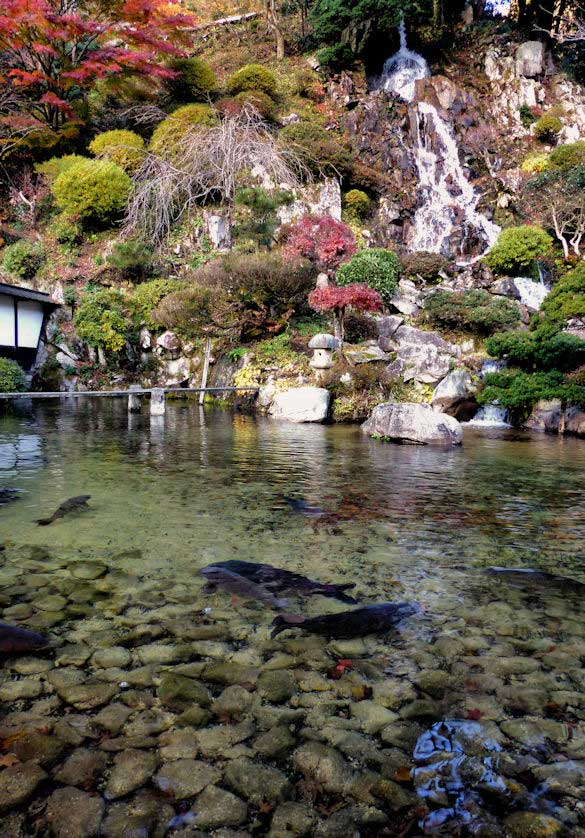 Kabeya Shusei-kan History Museum and Sakurai Family House.