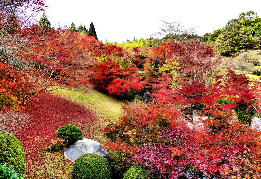 Sankei-en Garden, Hiroshima.