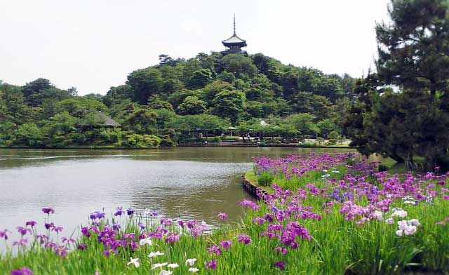 Sankeien Garden, Yokohama.