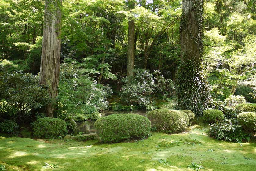 Sanzen-in Temple, Ohara, Kyoto.