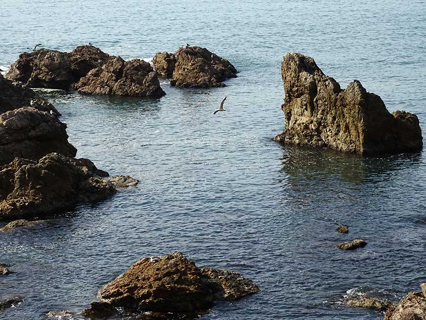 Sasagawa Nagare coastline, Niigata, Japan.