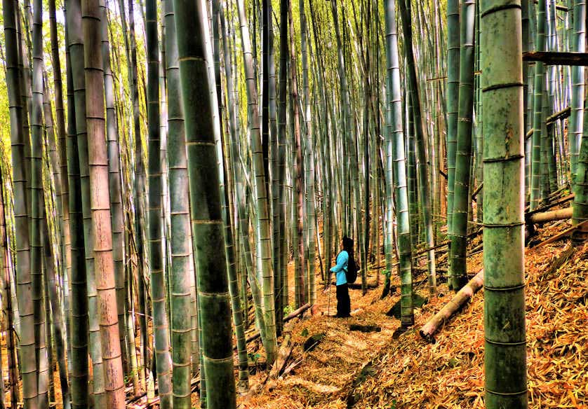 Sasaguri Pilgrimage, Fukuoka, Kyushu.