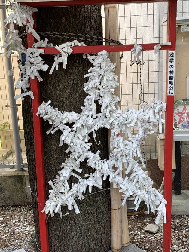 Omikuji, Seimei Jinja, Nagoya, Japan.