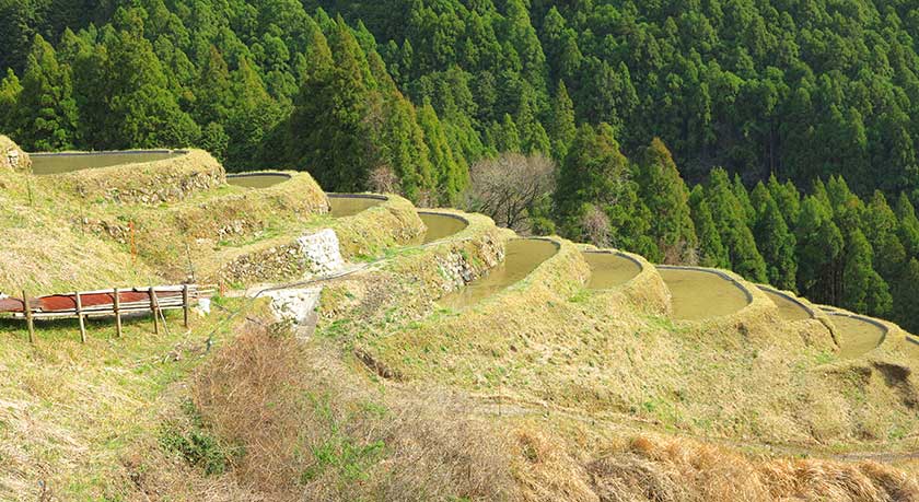 Maruyama Senmaida Rice Terraces, Kumano-shi, Mie Prefecture.