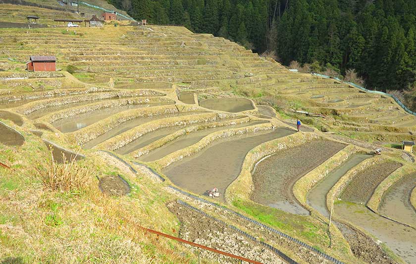 Maruyama Senmaida Rice Terraces, Kumano-shi, Mie Prefecture.