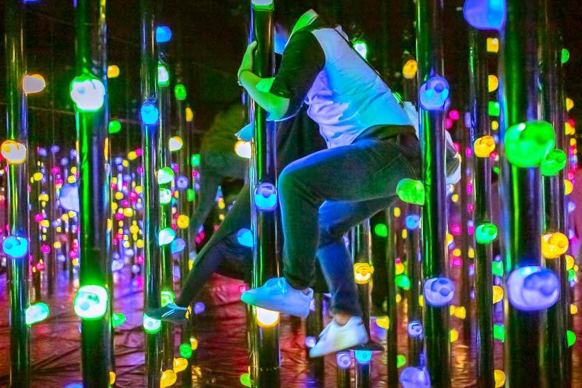 Light Forest Three-dimensional Bouldering, TeamLab Borderless, Odaiba.