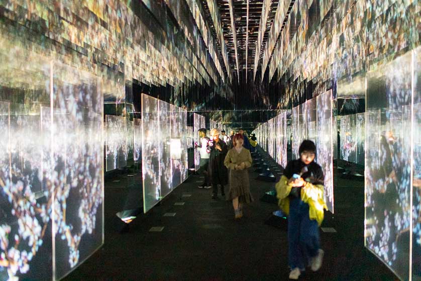 Animals of Flowers, Symbiotic Lives - Layered Ultrasubjective Space, TeamLab Borderless, Odaiba.