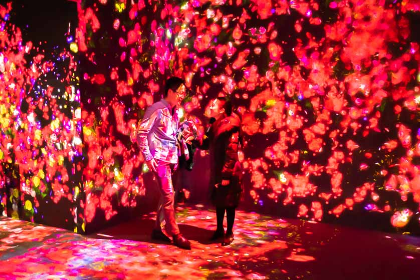 Love among the flowers, TeamLab Borderless, Odaiba.