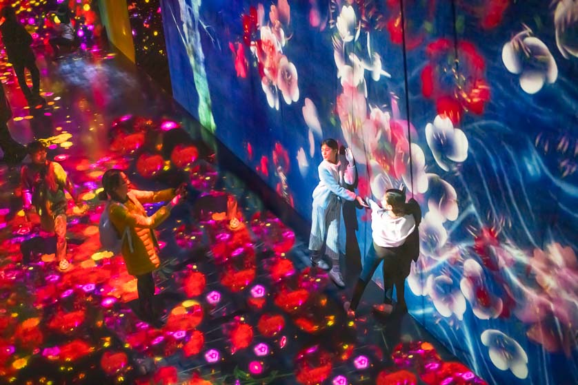 Immersive garden, TeamLab Borderless, Odaiba.