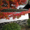 Arashiyama Walk.