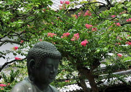 Tokeiji Temple, Kamakura, Japan.