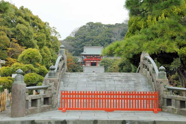 Tsurugaoka Hachimangu, Kamakura.