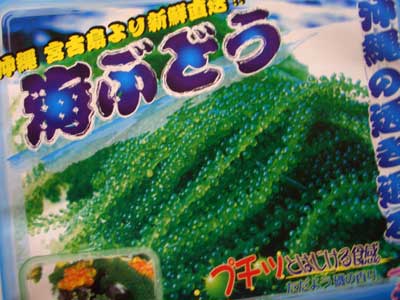 Umibudo sea grapes, Okinawa.