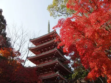 Chikurinji Temple located in Godaisen Koen park