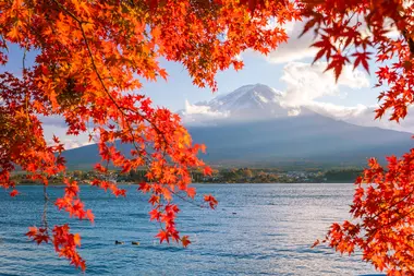 Besuchen Sie den Fuji im Herbst