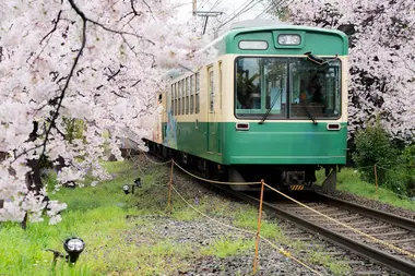 ...Ou encore beaucoup d'autres trains et bus partout au Japon !