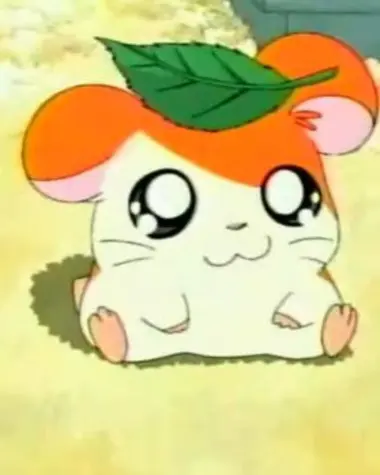 Hamtaro le hamster